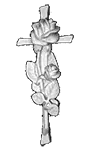 Акрил 1