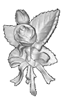 Акрил 15