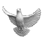 Акрил 23