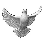 Акрил 24