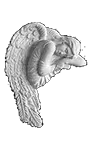 Акрил 26