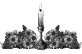 Цветы 12