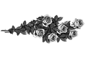 Цветы 16