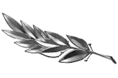 Цветы 22