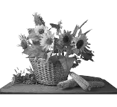 Цветы 26