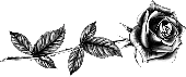 Цветы 3