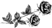 Цветы 4