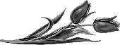 Цветы 7