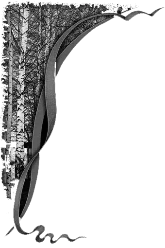 Деревья 14