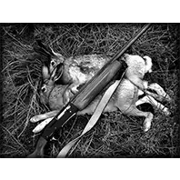 Природа 13