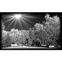 Природа 15