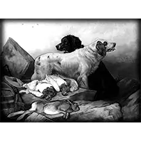 Природа 20