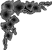 Виньетки 6